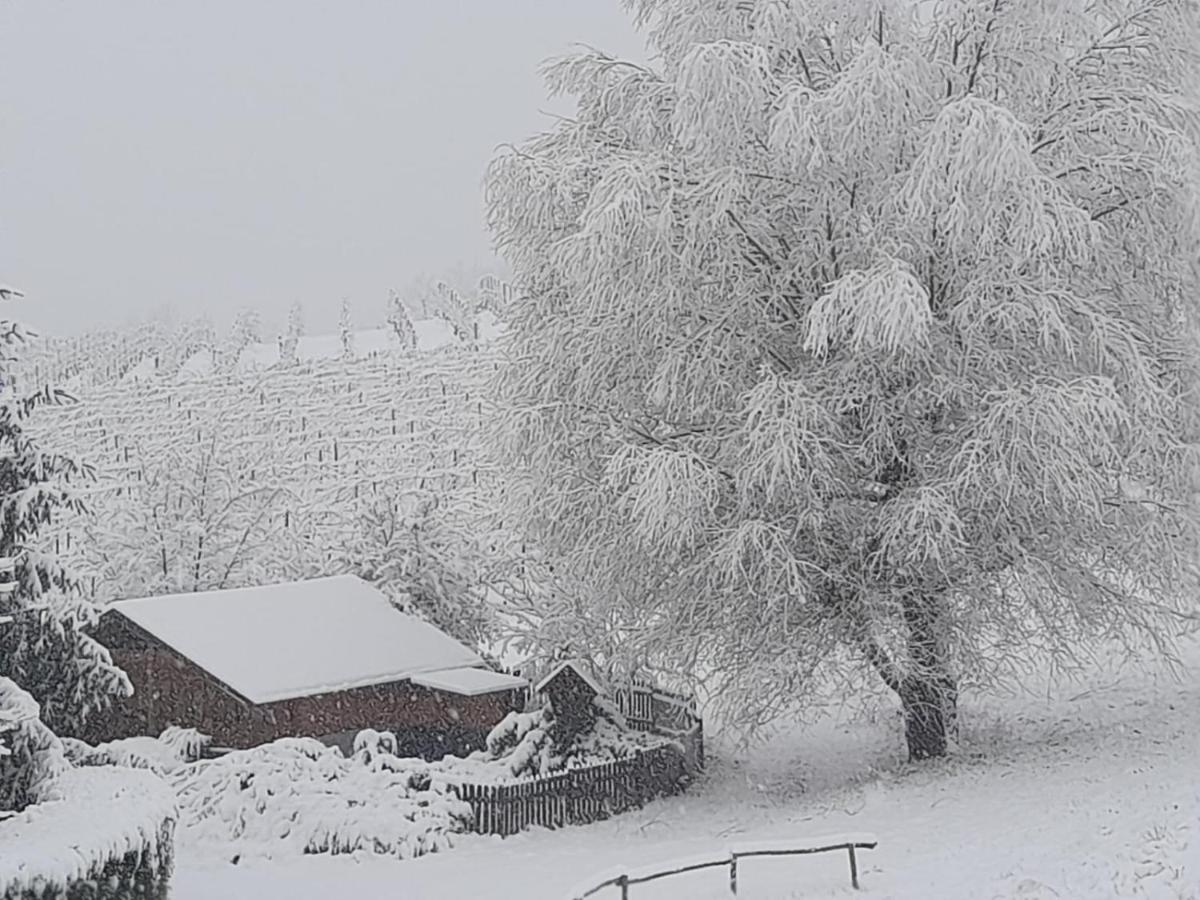 Valditerra Vini - B&B La Rombetta Tassarolo Exteriér fotografie